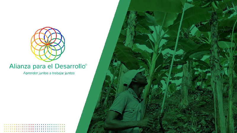 noticia-alianza-una-fuerza-social