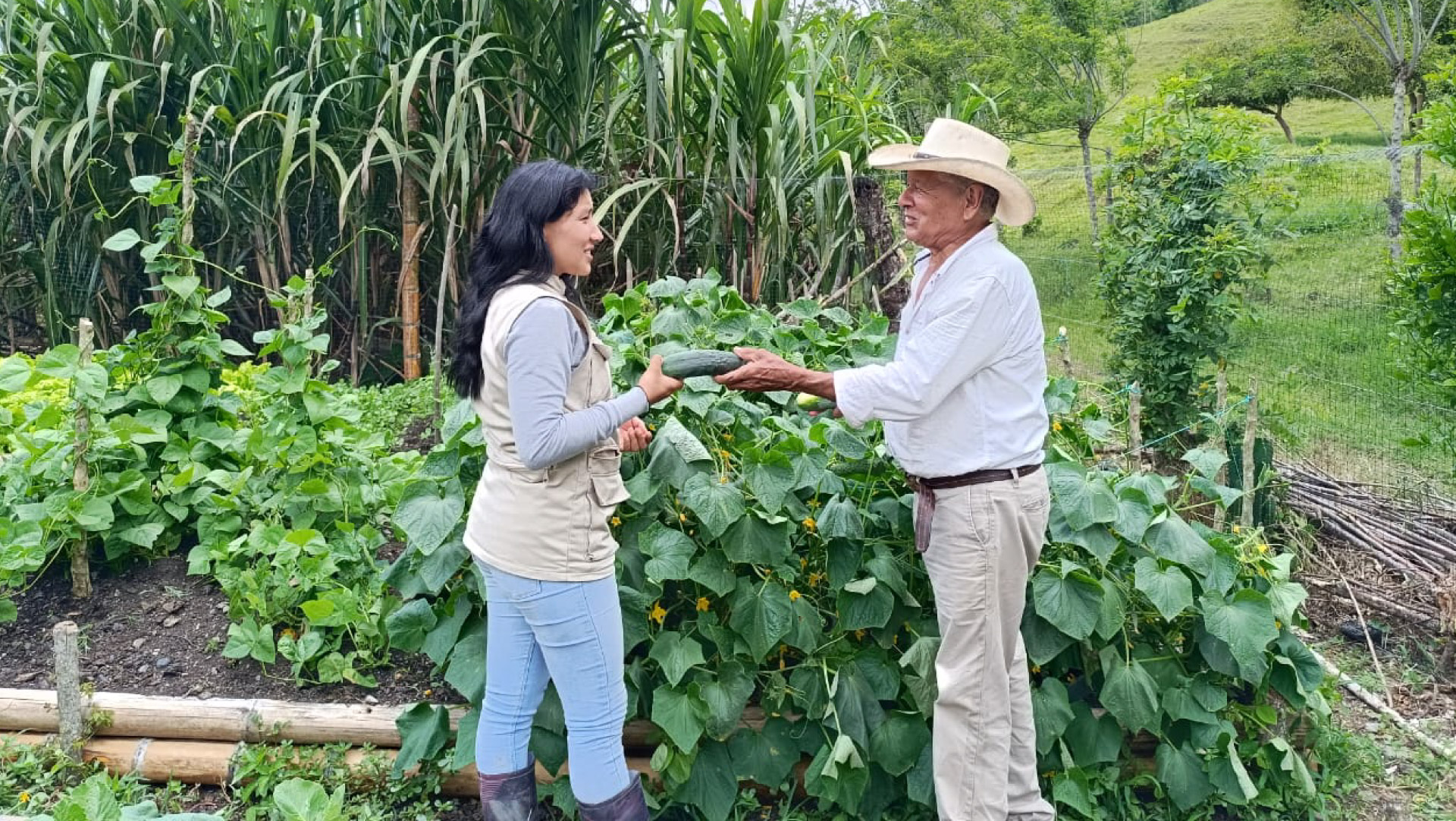 Alianza_Huertas_Asociaciones