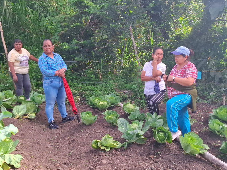 Alianza_Huertas_Mujeres