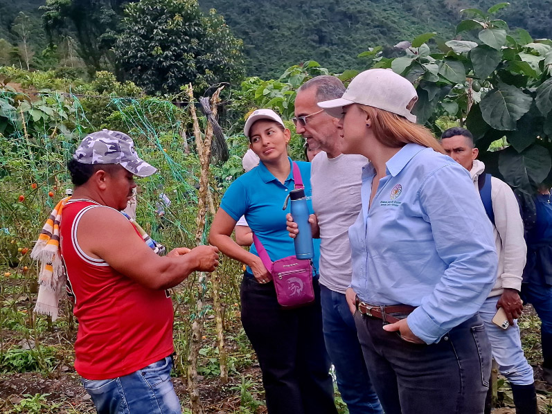 Alianza_Recorrido_aliados