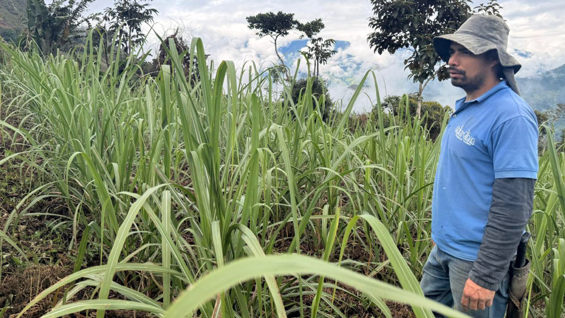 Alianza_Desarrollo_Económico